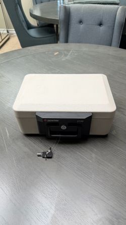 Safe / Gun Safe / Sentry Safe 2100