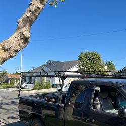 Lumber Rack And Tool Box 