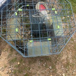Crab cages