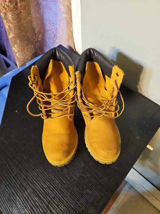 7.5 Timberland Wheat For Women