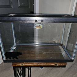 10 Gallon Tanks With Lid