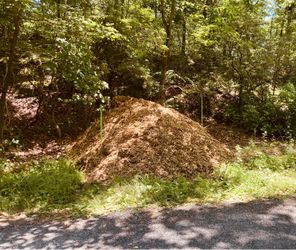Wood Chip Mulch Free!