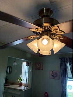 Ceiling Fan
