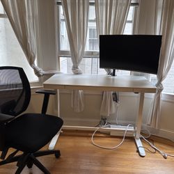 Sit/Stand Desk & Office Chair