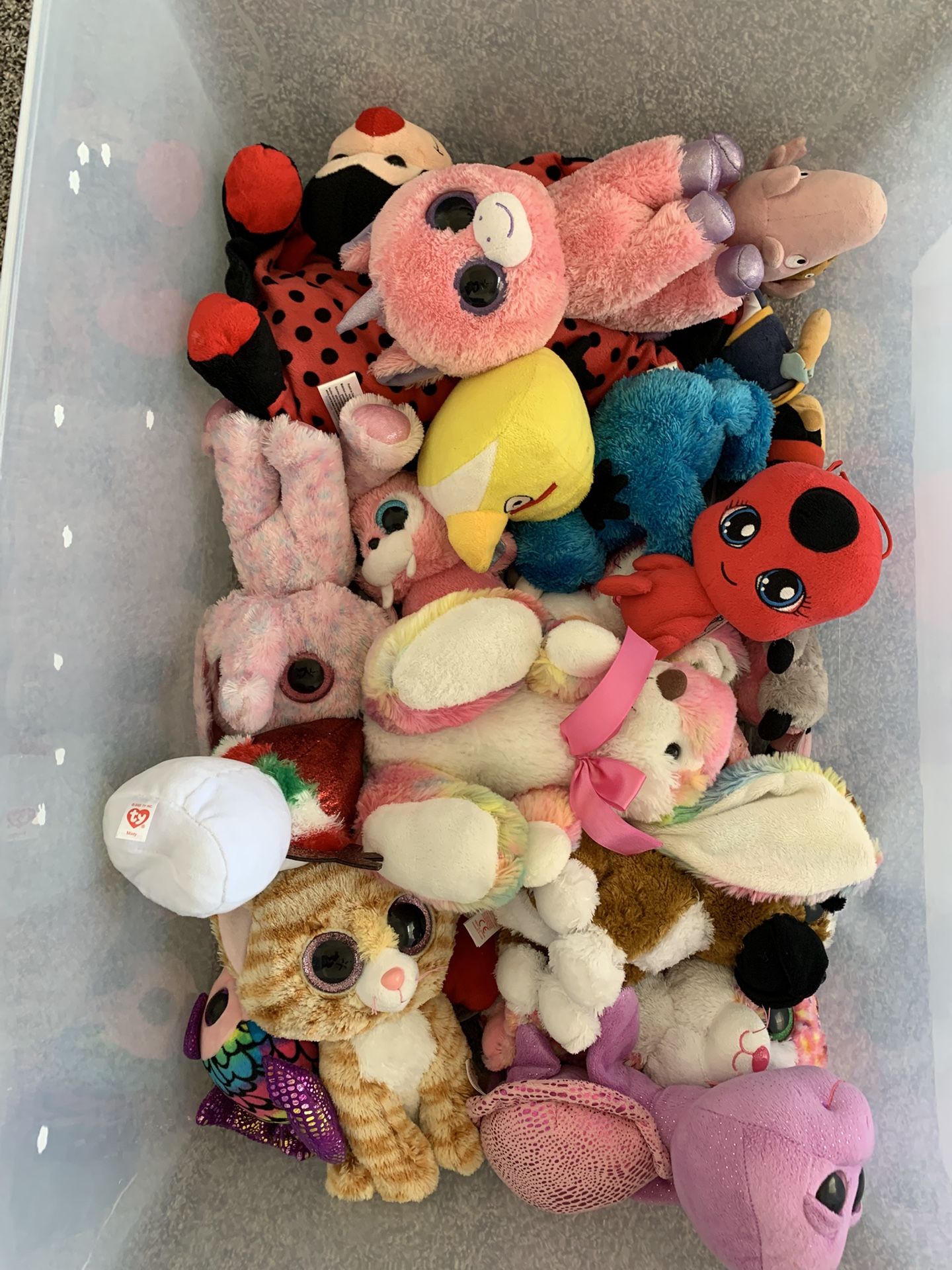 Assorted Plushies