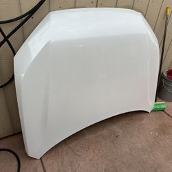 2023 2024 2025 Honda CRV Hood OEM