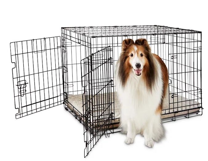 EveryYay Folding Wire Dog crate