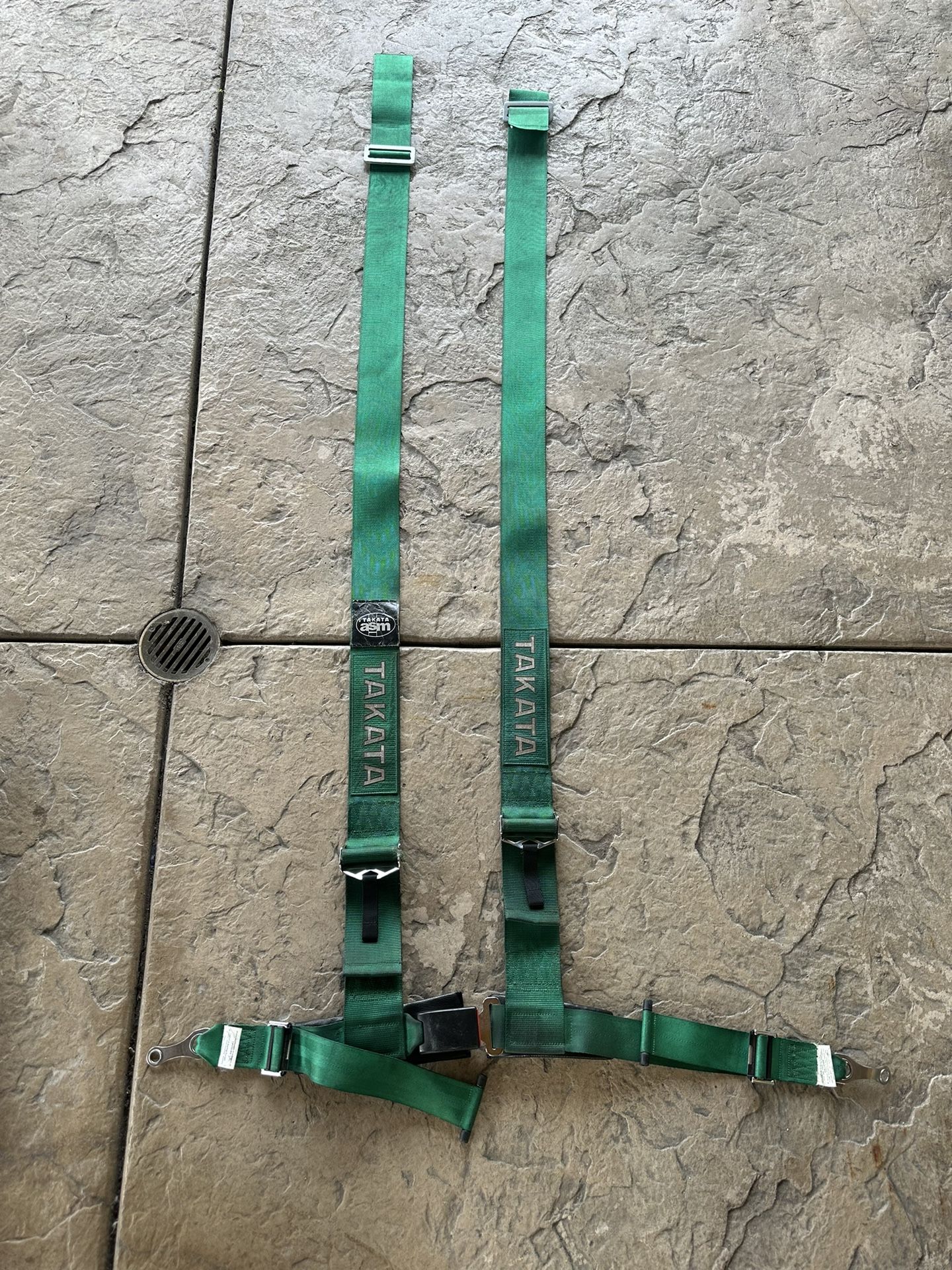 Takata Harness