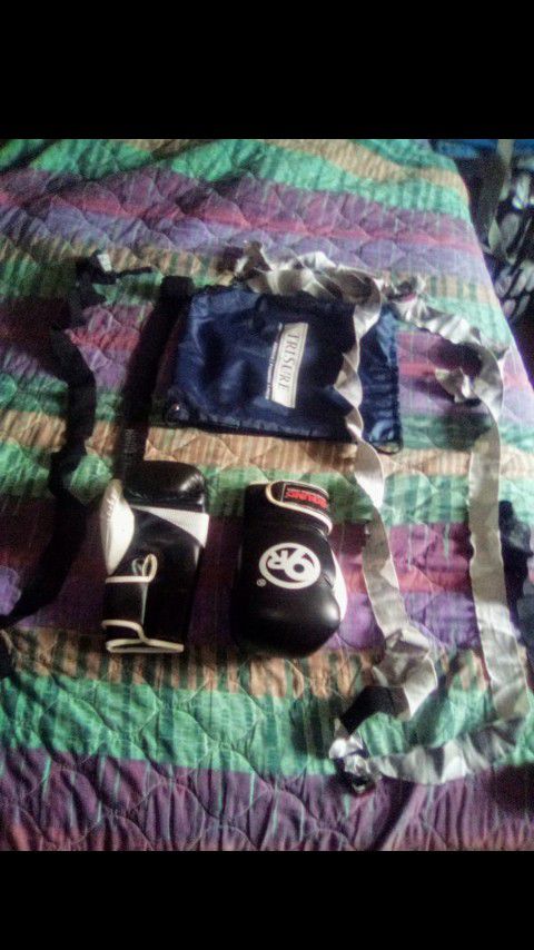 UFC/Boxing Gloves Set