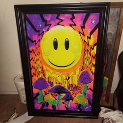 BLACK LIGHT FRAMED MUSHROOM 