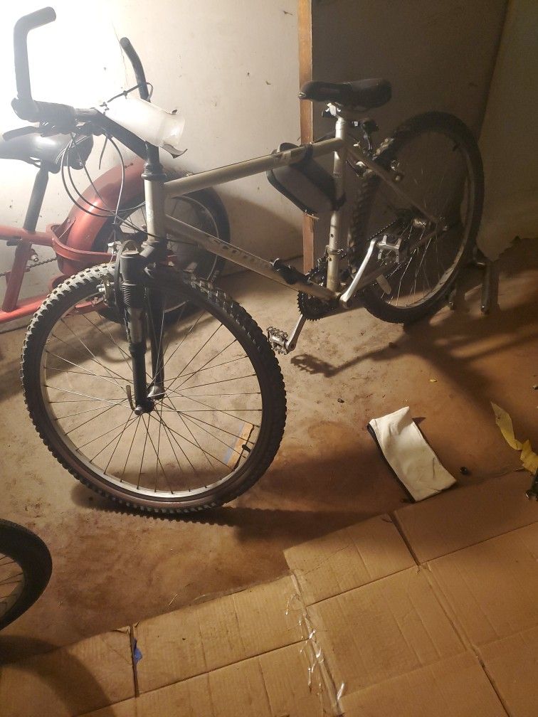 Scorpion Mountain Bike Older