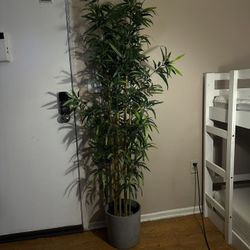 Artifitial bamboo plant