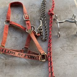 Used Horse Items Combo!