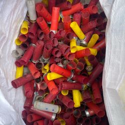 Empty Shot gun shells for Crafts