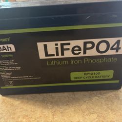 ExpertPower12.8V 100Ah LiFePO4 Deep Cycle Battery- RV/Marine