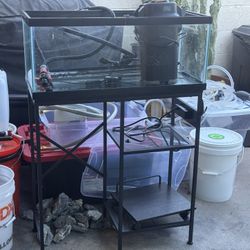 10 Gallon Fish Tank And Stand