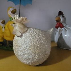 Chicken
