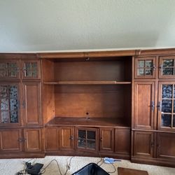 Entertainment Storage Unit