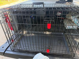 Kong Dog Kennel