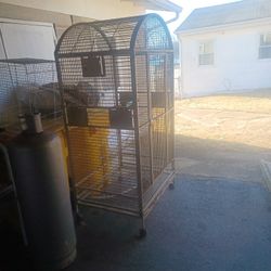 Big Bird Cage