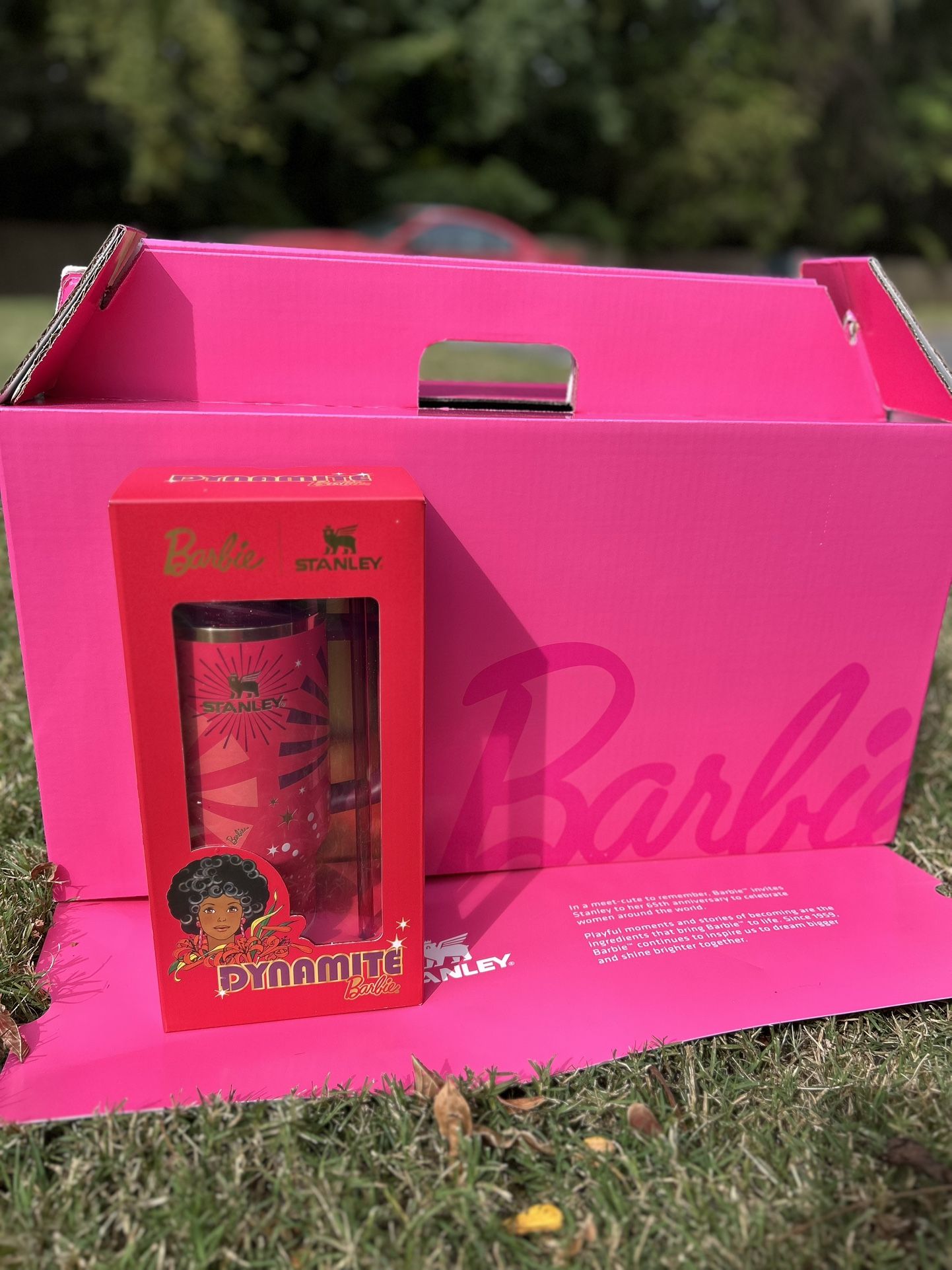 Stanley X Barbie