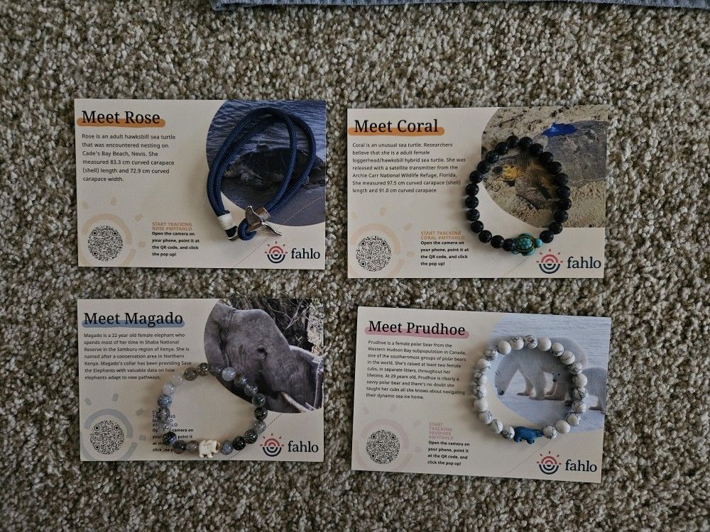Bracelets 