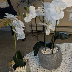 Fake Plants..Set. $15