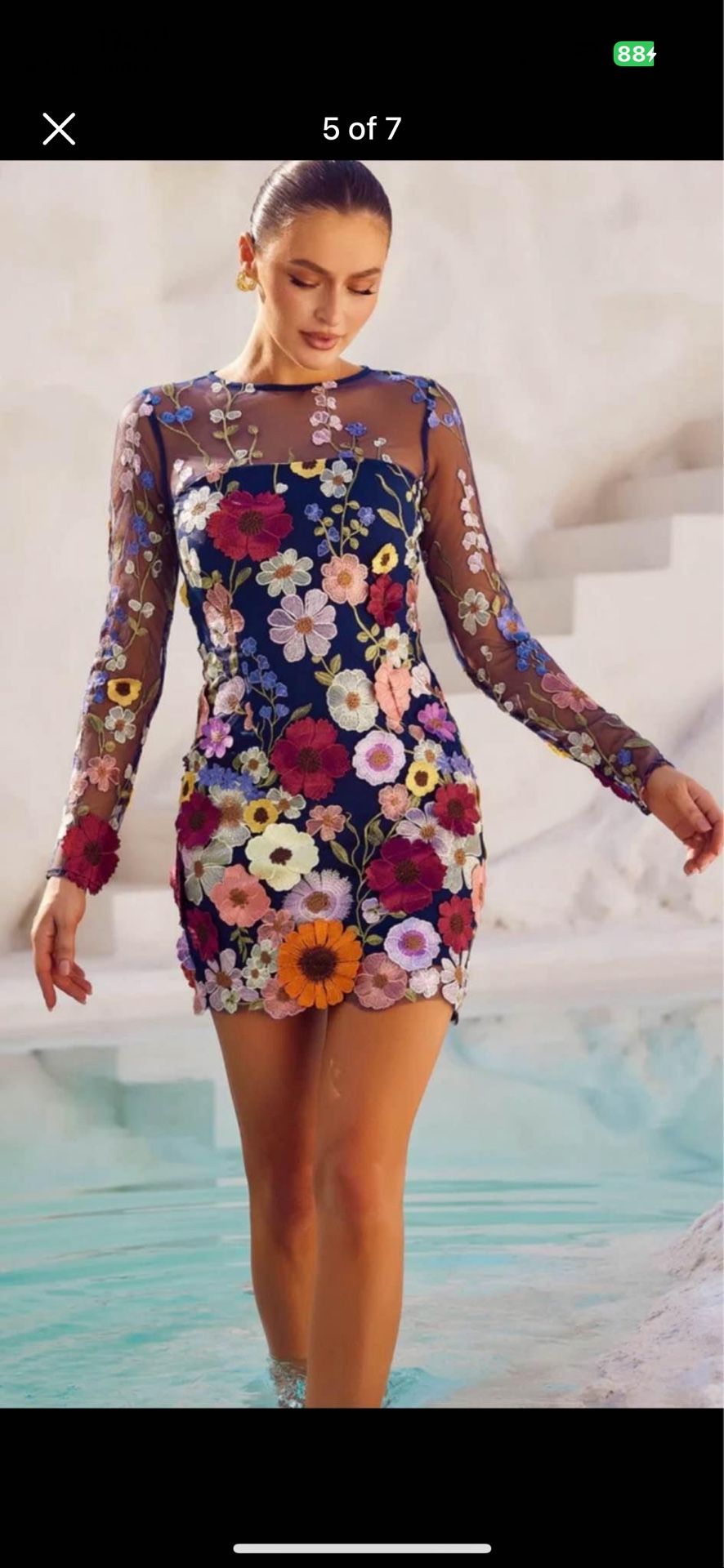 Flower Embroidery Dress 