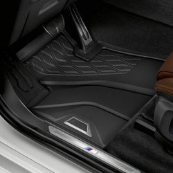 Set Of 2 Car Floor Mats