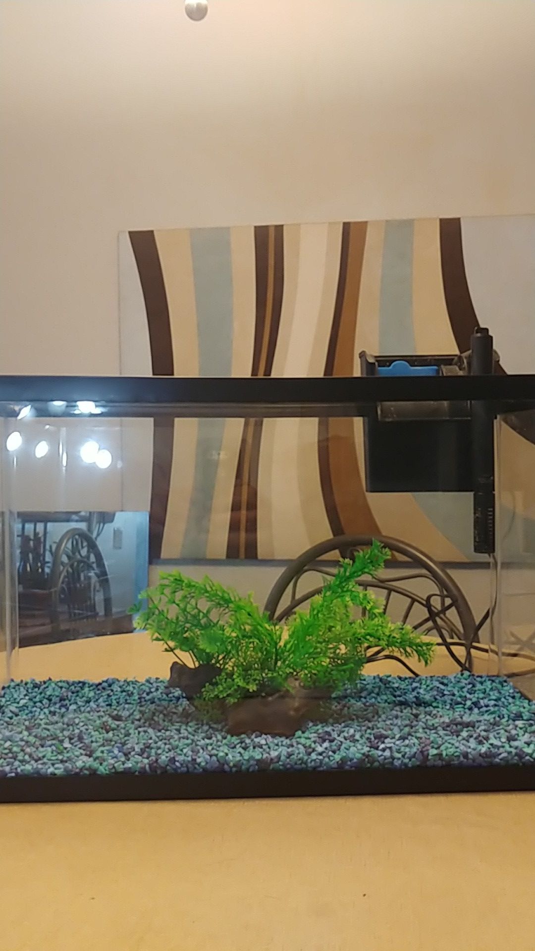 10 Gallon Aquarium with Filter, Gravel and Decor