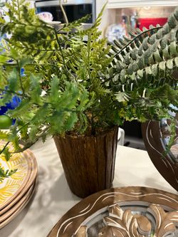 Nice plant