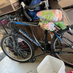 Roadmaster Bike