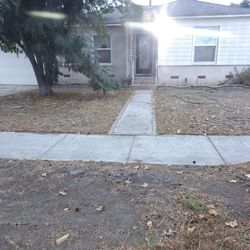 Affordable Gardening