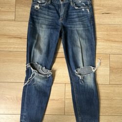 Joes Jean Womens Skinny