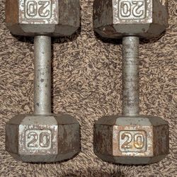 20 Lb Hex dumbbell \pair