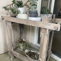 Succulents W Rustic Table 