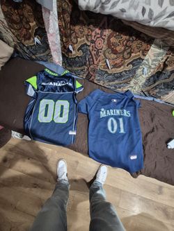 Large Dog Jerseys