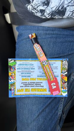 Vans Warped Tour Wristband
