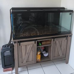 75 Gallon Tank With Stand And Filter