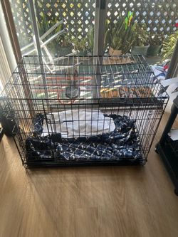 Big Dog Crate Large/XL Excellent Condition Metal Frame Fully Assembled Pet Training