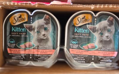 12 pack of Two trayd of Sheba Kitten Soft Paté Delicate Salmon Entrée