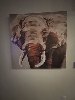 Picture Elephant