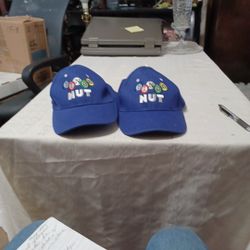 2 Blue "BINGO NUT" Baseball  Caps