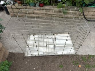 Dog Folding Cage$45