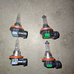 H11 Nissan OEM bulbs 