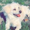 Rony