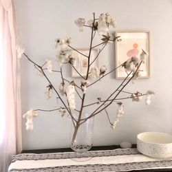 Large Cotton Branch
