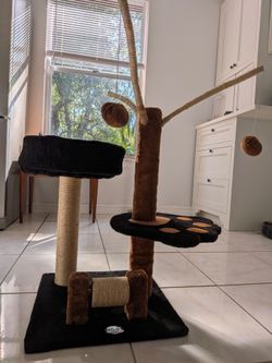 Cat tree and water fountain