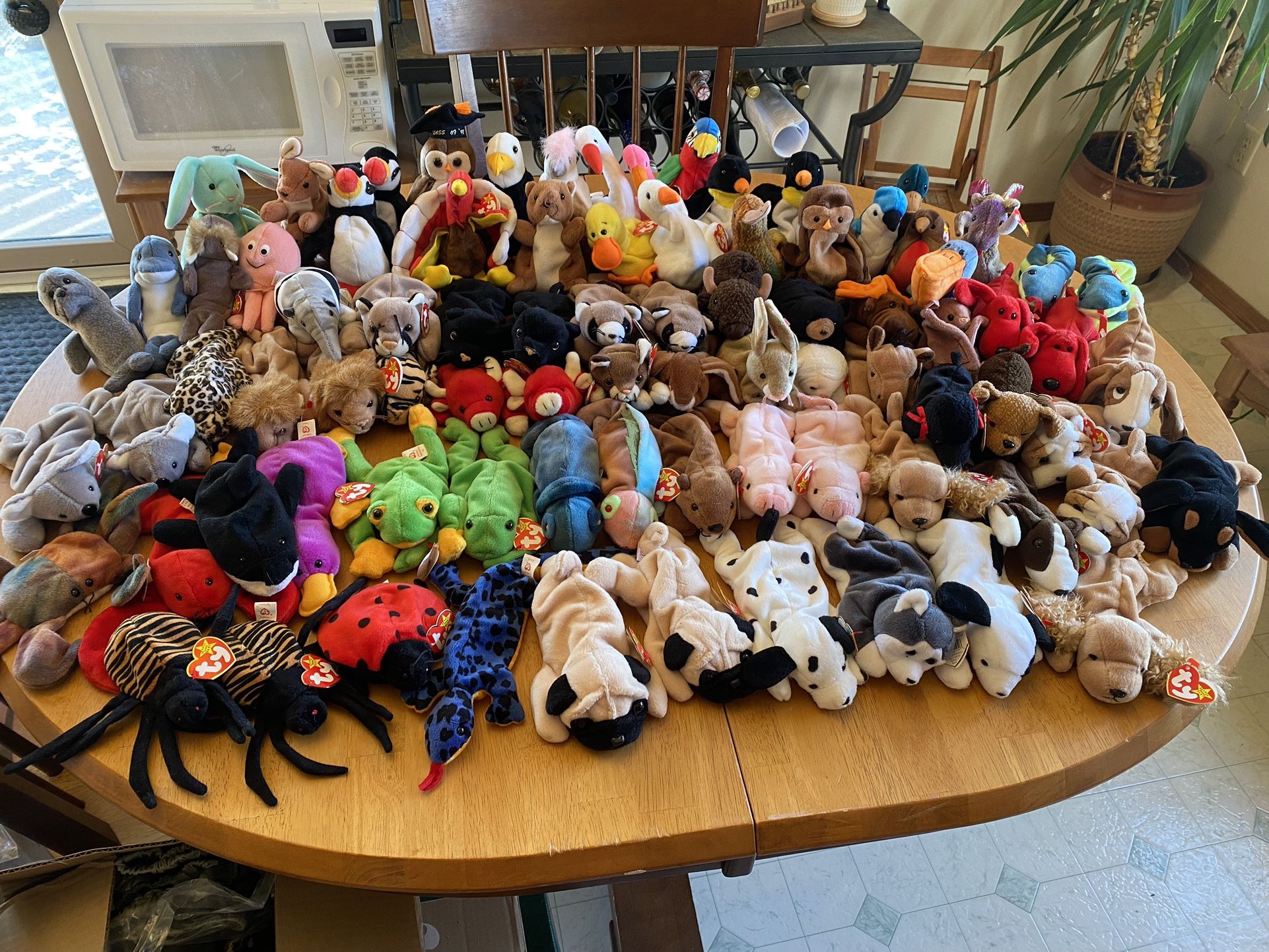 Classic Beanie Babies