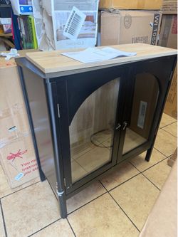 2 Door Accent Black Cabinet